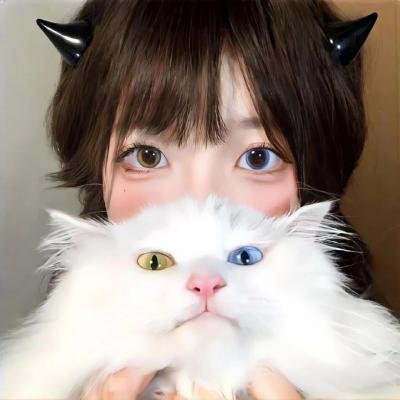 杀出西营盘